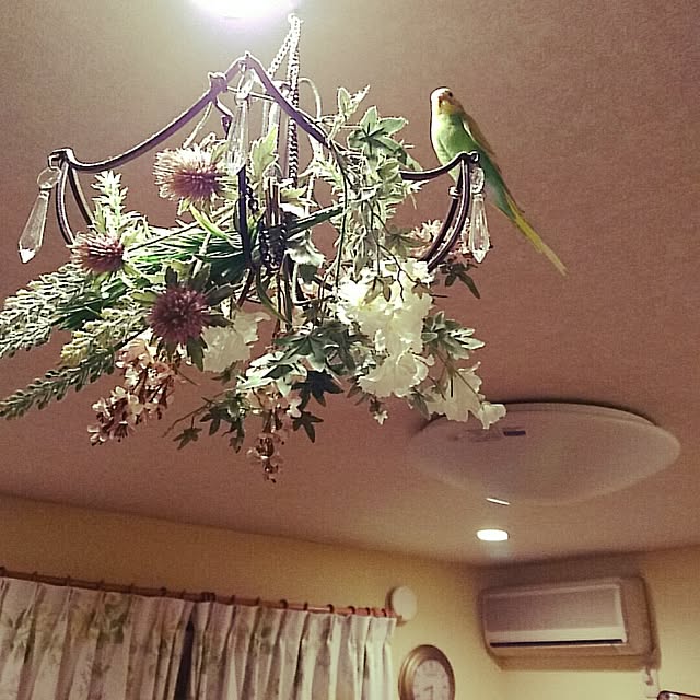 maryKayoさんの実例写真