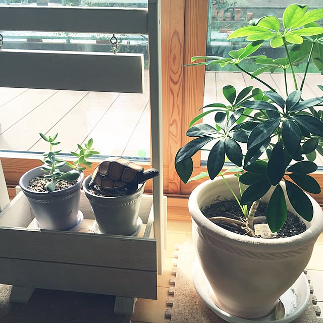 knanataさんの実例写真