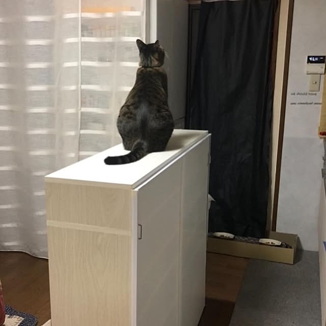 mori_6_12さんの部屋