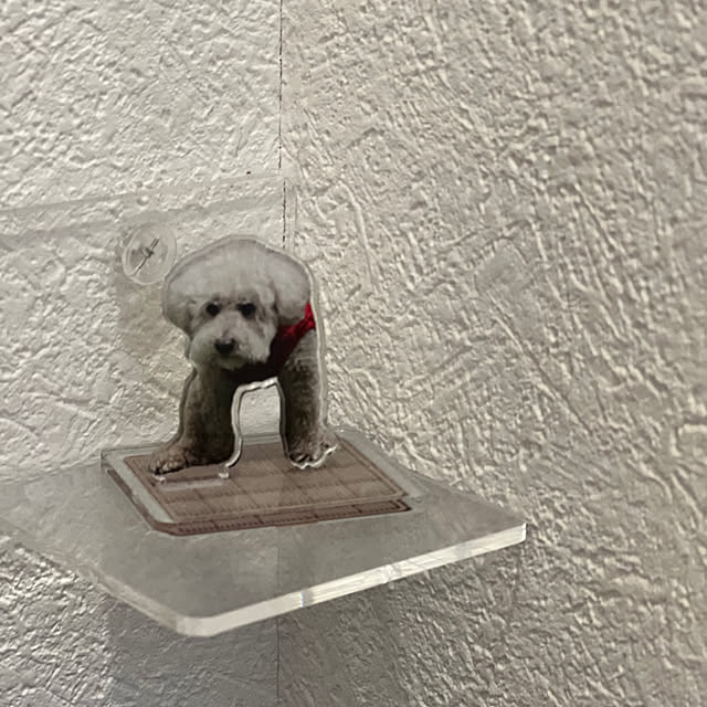 yukarimamaさんの部屋