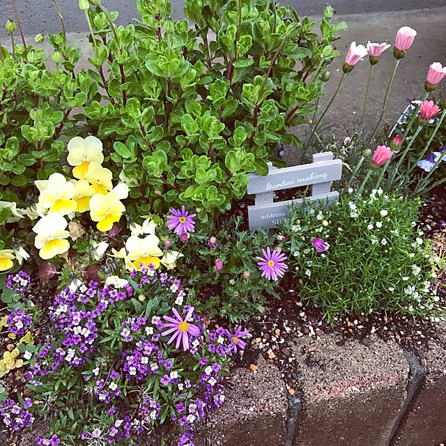 ma-blueさんの実例写真