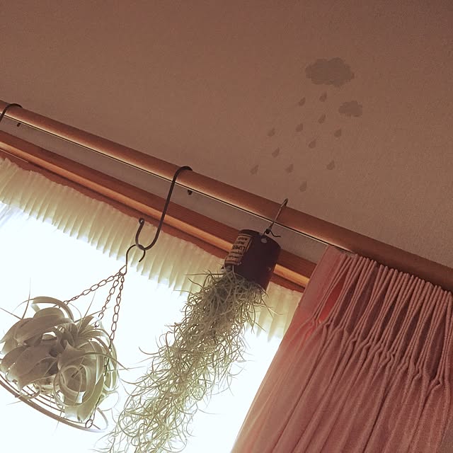chiekkoさんの実例写真