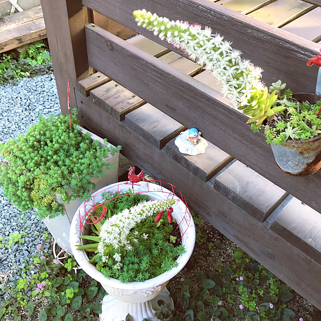 portulacaさんの実例写真