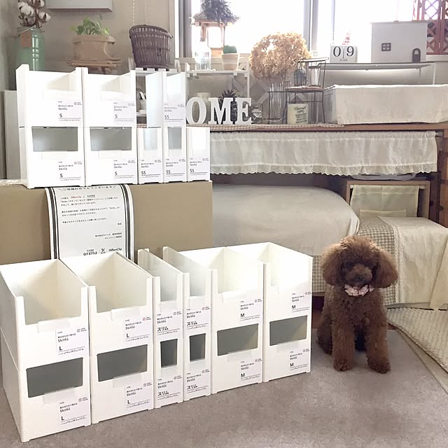 ISM.mumさんの実例写真