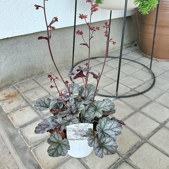 sumimarumiさんの実例写真