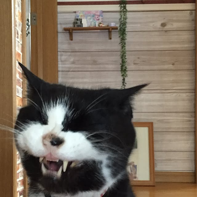 yunaさんの実例写真