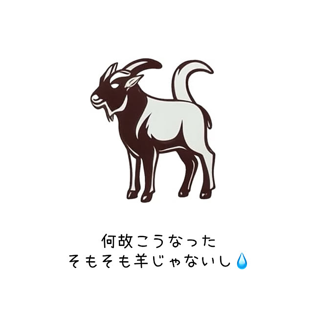 sumikoさんの部屋