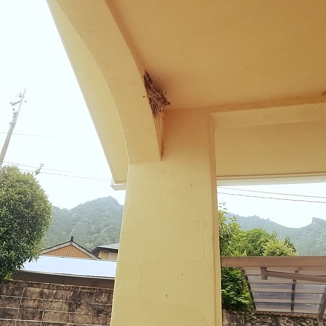 kosaさんの実例写真