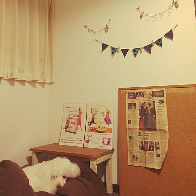 aranさんの実例写真
