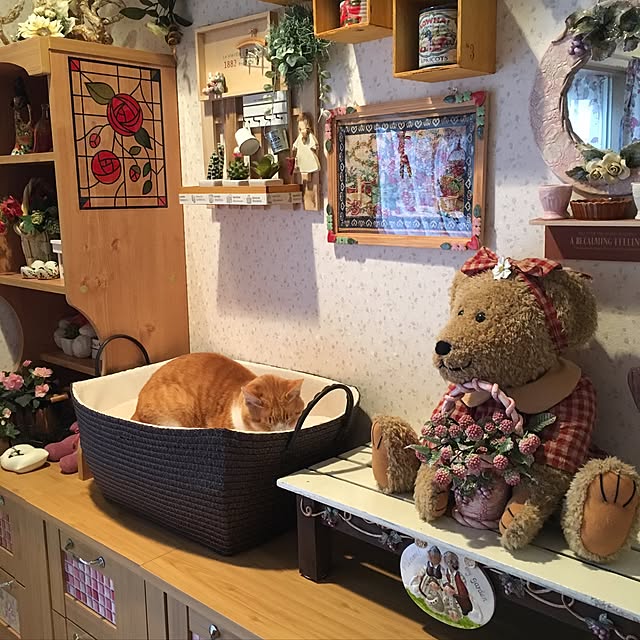 実例写真