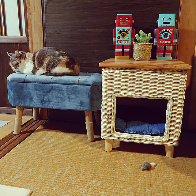 fukuさんの実例写真