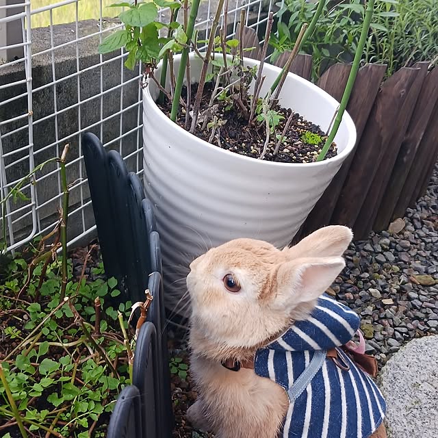 aiさんの部屋