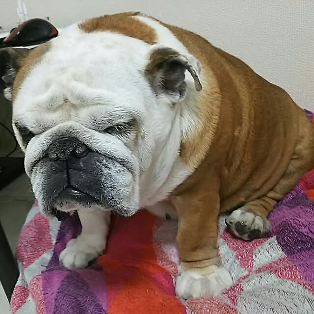 AandPさんの実例写真