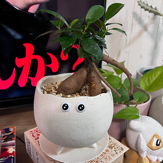 tukiさんの実例写真