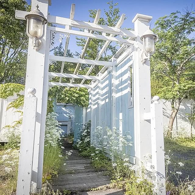 Aether_Gardenさんの実例写真