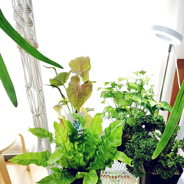 nachiさんの部屋