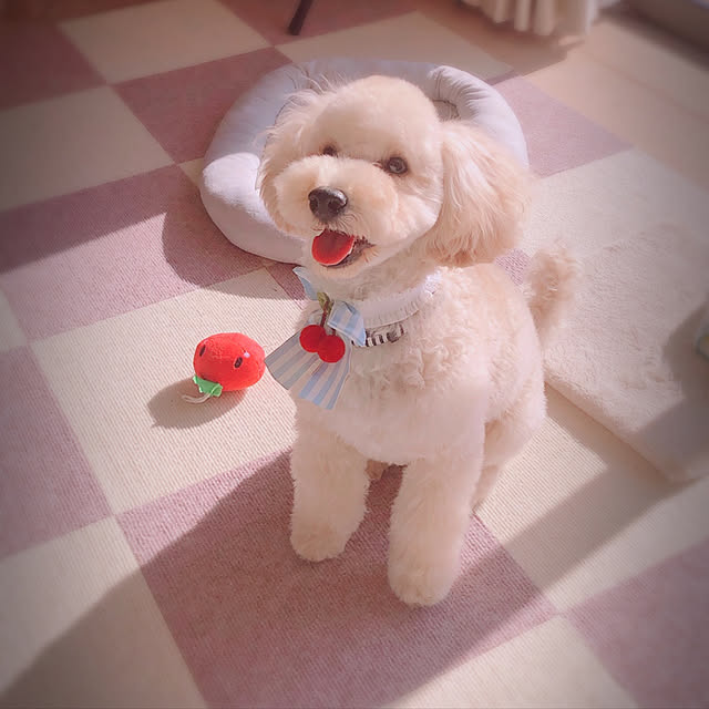 m.tさんの実例写真