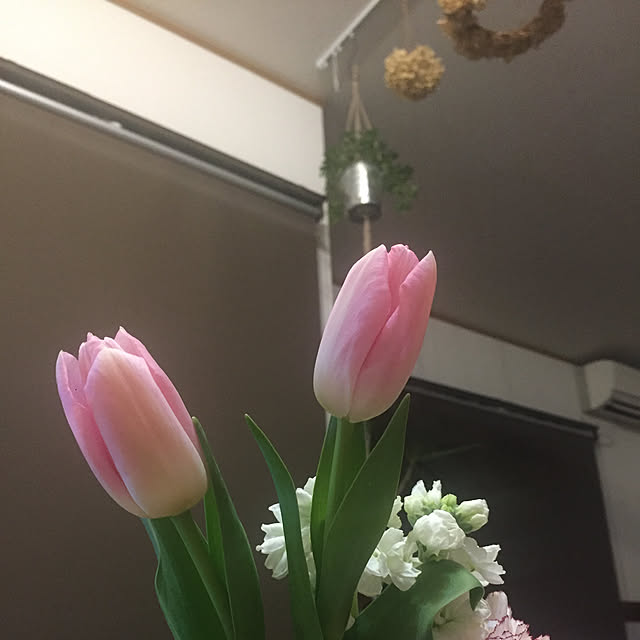 me9さんの実例写真