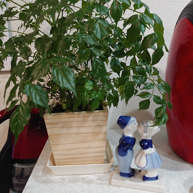 yoshiさんの実例写真