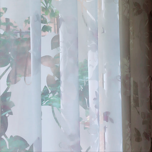 ponzu008さんの実例写真