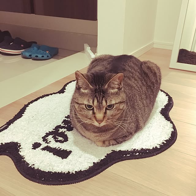 sa_su_さんの実例写真