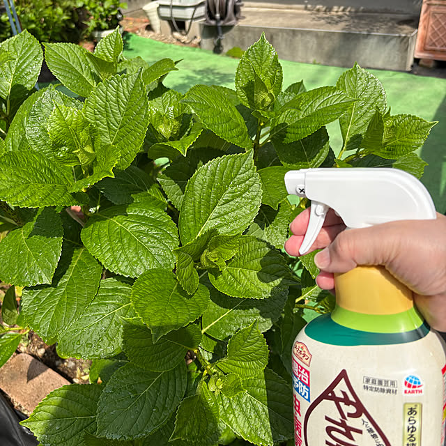 nannoさんの実例写真