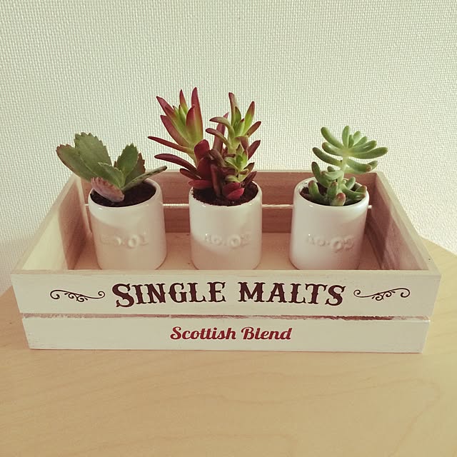 yuusさんの実例写真