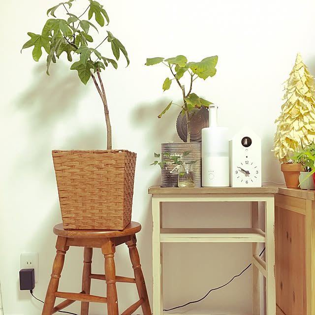 natureさんの実例写真