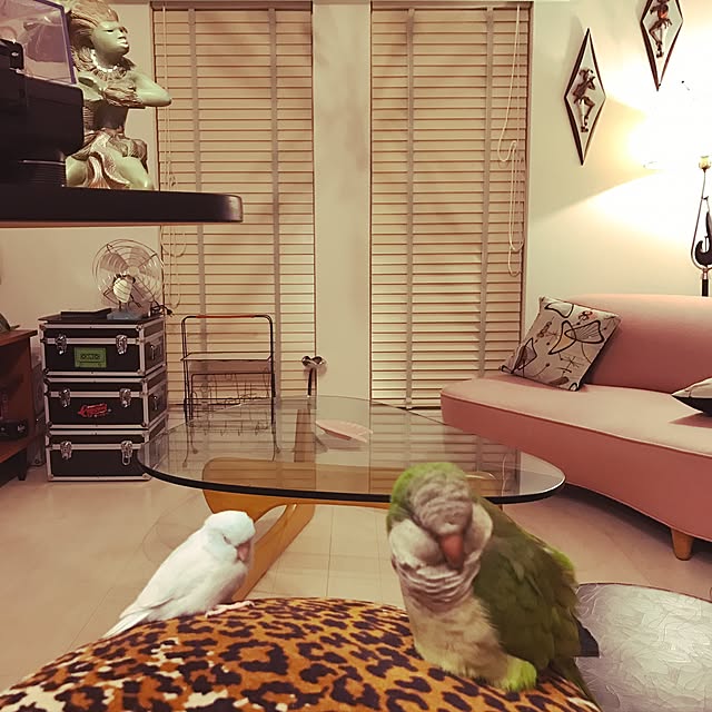 Katsumi.t100さんの実例写真