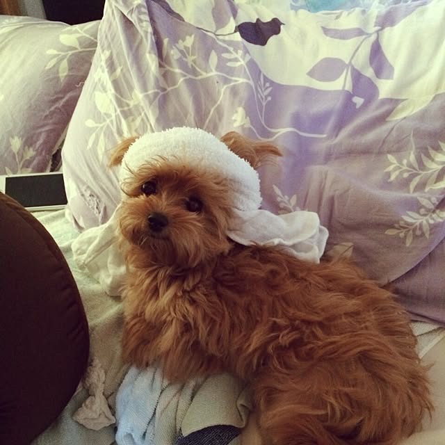Reniさんの実例写真