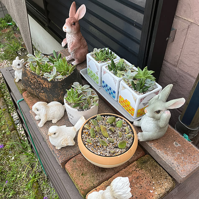 ritsukoさんの部屋