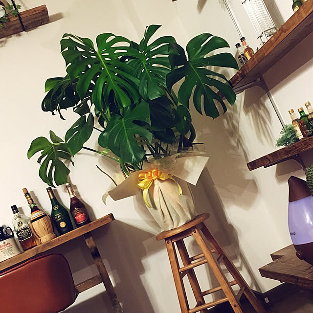tke_0515_bj.mさんの実例写真