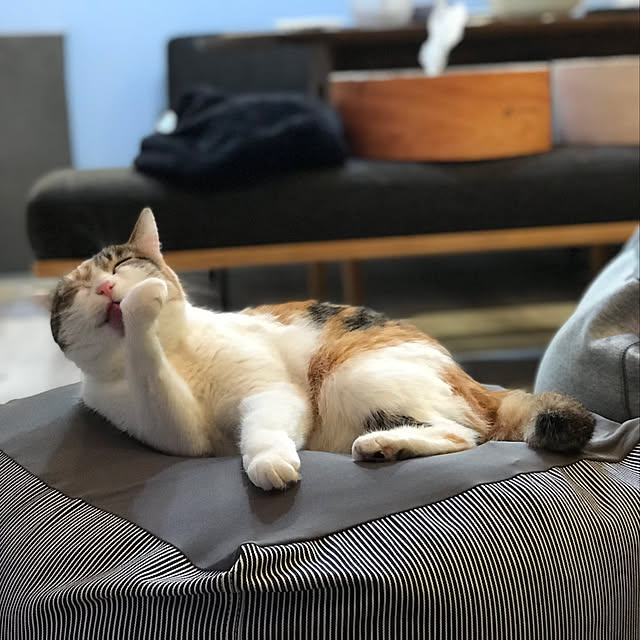 puniyumiさんの実例写真