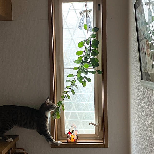 nobikoさんの実例写真