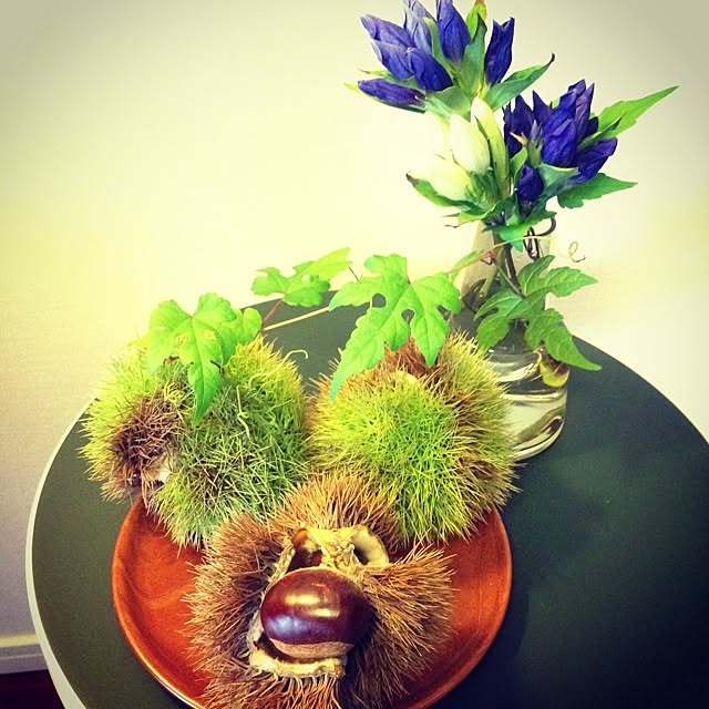 krtekさんの実例写真