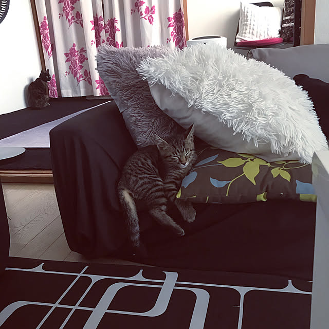 sRtさんの実例写真