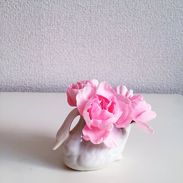 Amyさんの実例写真
