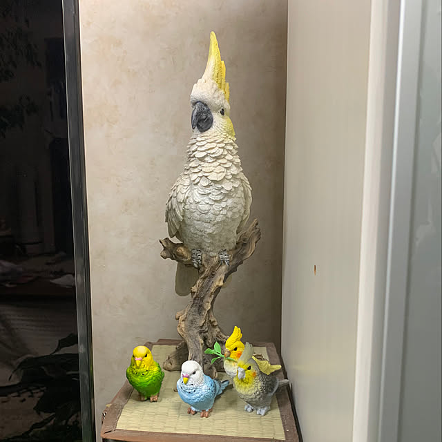 Aqettyさんの実例写真