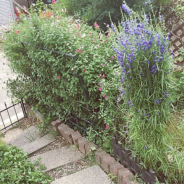 satoさんの実例写真