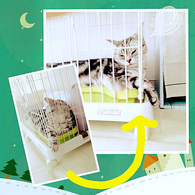 kumingさんの実例写真
