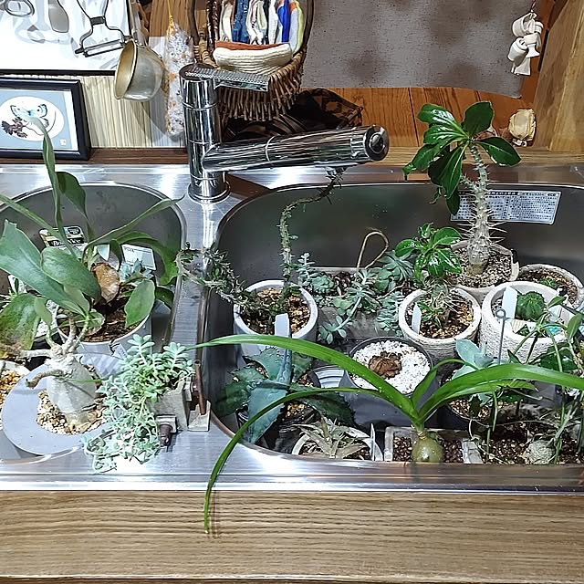 t.yumiさんの部屋