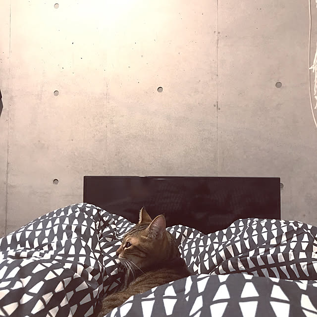 Hotateさんの実例写真