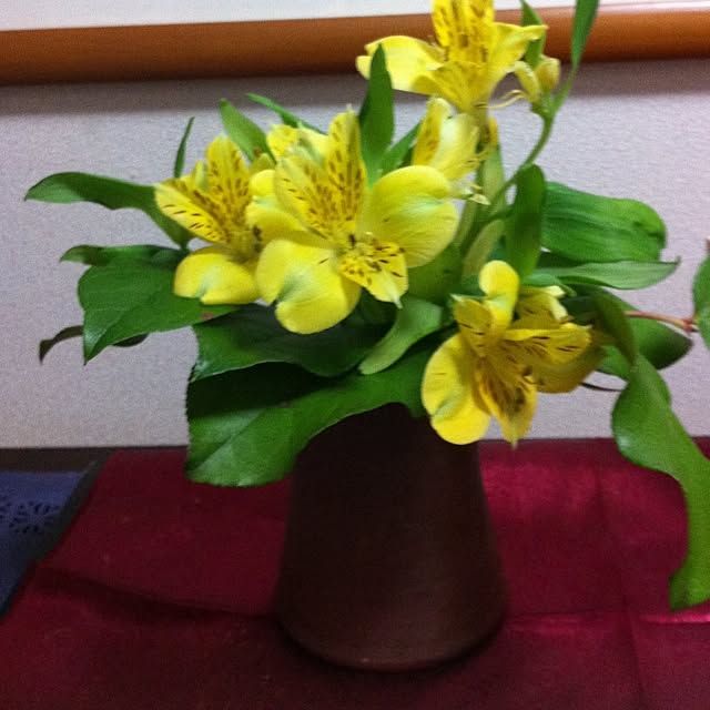 mamipokoさんの実例写真