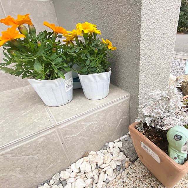 smileさんの部屋