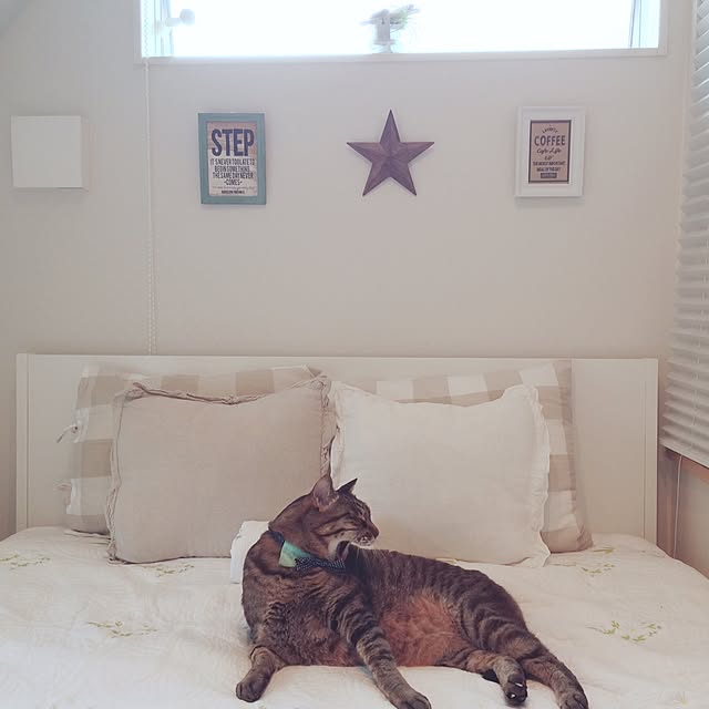 lovecatさんの実例写真