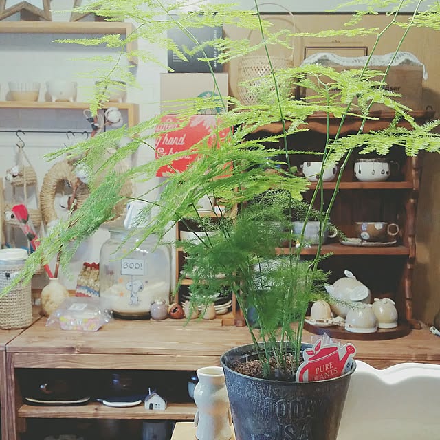 DayRee.さんの実例写真