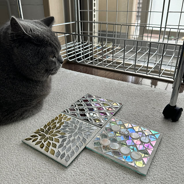 kittyさんの実例写真