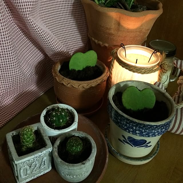 実例写真