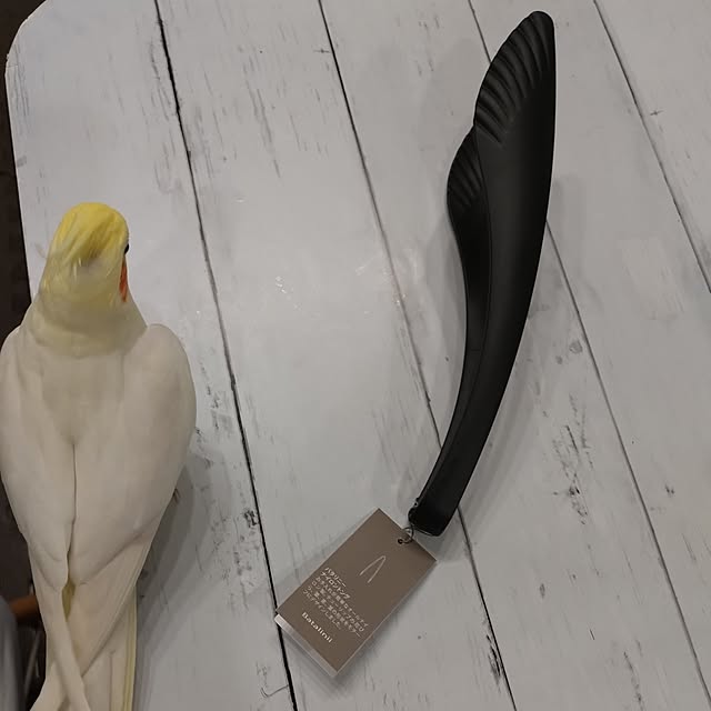 toratanさんの実例写真