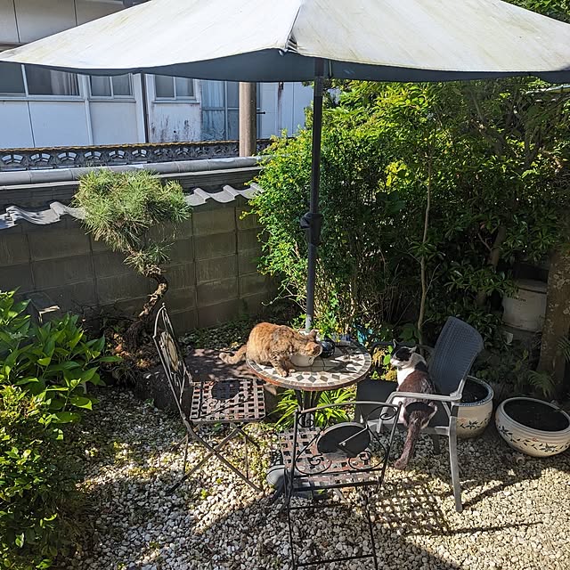 uchizukonyanさんの実例写真